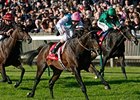 Twice Over repeats in the Champion Stakes under Tom Queally. <br><a target="blank" href="http://www.bloodhorse.com/horse-racing/photo-store?ref=http%3A%2F%2Fpictopia.com%2Fperl%2Fgal%3Fprovider_id%3D368%26ptp_photo_id%3D9235135%26ref%3Dstory">Order This Photo</a>