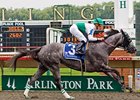 Informed Decision, who won last year's Chicago Handicap, will defend her title in 2010.