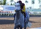Awesome Maria
<br><a target="blank" href="http://www.bloodhorse.com/horse-racing/photo-store?ref=http%3A%2F%2Fpictopia.com%2Fperl%2Fgal%3Fprovider_id%3D368%26ptp_photo_id%3D9473471%26ref%3Dstory">Order This Photo</a>