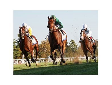 Gio Ponti
<br><a target="blank" href="http://www.bloodhorse.com/horse-racing/photo-store?ref=http%3A%2F%2Fpictopia.com%2Fperl%2Fgal%3Fprovider_id%3D368%26ptp_photo_id%3D9226149%26ref%3Dstory">Order This Photo</a>