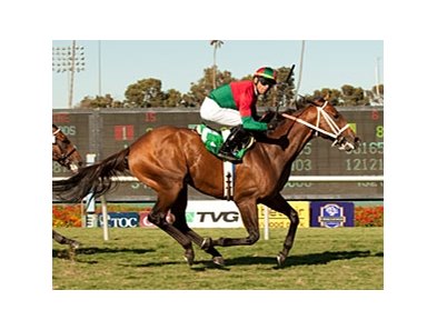 Jeranimo won the 2012 Shoemaker Mile.
