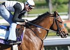 Noble's Promise breaks from post 3 in the Arkansas Derby.<br><a target="blank" href="http://www.bloodhorse.com/horse-racing/photo-store?ref=http%3A%2F%2Fpictopia.com%2Fperl%2Fgal%3Fprovider_id%3D368%26ptp_photo_id%3D8603639%26ref%3Dstory">Order This Photo</a>