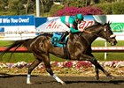 Zenyatta will carry 127 pounds in the Santa Margarita Handicap.<br><a target="blank" href="http://www.bloodhorse.com/horse-racing/photo-store?ref=http%3A%2F%2Fpictopia.com%2Fperl%2Fgal%3Fprovider_id%3D368%26ptp_photo_id%3D8148335%26ref%3Dstory">Order This Photo</a>