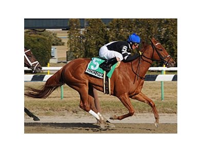 Secret Gypsy cruises to victory in the Distaff Handicap.<br><a target="blank" href="http://www.bloodhorse.com/horse-racing/photo-store?ref=http%3A%2F%2Fpictopia.com%2Fperl%2Fgal%3Fprovider_id%3D368%26ptp_photo_id%3D7929822%26ref%3Dstory">Order This Photo</a>