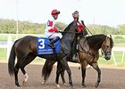 Politicallycorrect is the 7-2 morning line favorite for the Longacres Mile.