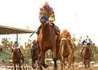 Switch won the La Brea Stakes (gr. I) opening day Dec. 26 at Santa Anita.<br><a target="blank" href="http://www.bloodhorse.com/horse-racing/photo-store?ref=http%3A%2F%2Fpictopia.com%2Fperl%2Fgal%3Fprovider_id%3D368%26ptp_photo_id%3D9346083%26ref%3Dstory">Order This Photo</a>