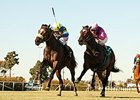 Lucayan (left) comes home strong to win the Hollywood Turf Cup.