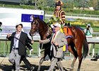 Ramon Dominguez' 2012 victories included Little Mike in the Breeders' Cup Turf.<br><a target="blank" href="http://photos.bloodhorse.com/BreedersCup/2012-Breeders-Cup/Turf/26130116_ZC6sF3#!i=2194151620&k=GddzTMK">Order This Photo</a>