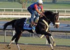 Diamond Bachelor Hopes Form Transfers to Dirt Diamond Bachelor Hopes Form Transfers to Dirt