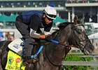 Frac Daddy faces a full field in the Commonwealth Turf Stakes.<br><a target="blank" href="http://photos.bloodhorse.com/TripleCrown/2013-Triple-Crown/Kentucky-Derby-Workouts/29026796_jvcnn8#!i=2488856731&k=RrZkVtb">Order This Photo</a>