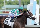 Merry Meadow is the 121-pound highweight in the Hurricane Bertie Stakes.<br><a target="blank" href="http://photos.bloodhorse.com/AtTheRaces-1/At-the-Races-2014/i-PvJ9DvZ">Order This Photo</a>