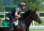 Master of Hounds at Belmont Park<br><a target="blank" href="http://www.bloodhorse.com/horse-racing/photo-store?ref=http%3A%2F%2Fpictopia.com%2Fperl%2Fgal%3Fprovider_id%3D368%26ptp_photo_id%3D9559301%26ref%3Dstory">Order This Photo</a>