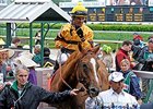 Wise Dan
<br><a target="blank" href="http://photos.bloodhorse.com/AtTheRaces-1/at-the-races-2013/27257665_QgCqdh#!i=2493862207&k=q86LSDm">Order This Photo</a>
