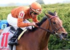 Streaking Rosario, Strathnaver Take Bewitch Streaking Rosario, Strathnaver Take Bewitch