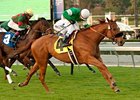 Caracortado wins the Daytona Stakes.