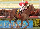 Sassy Image kicked off her 3-year-old campaign with a victory in the Sweetest Chant Stakes at rainy Gulfstream Park.<br><a target="blank" href="http://www.bloodhorse.com/horse-racing/photo-store?ref=http%3A%2F%2Fpictopia.com%2Fperl%2Fgal%3Fprovider_id%3D368%26ptp_photo_id%3D8747750%26ref%3Dstory">Order This Photo</a>