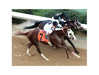 Will Take Charge and Oxbow in the Rebel Stakes.