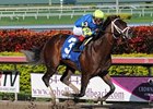 Thunder Moccasin streaks home in the Hutcheson Stakes at Gulfstream Park.<br><a target="blank" href="http://www.bloodhorse.com/horse-racing/photo-store?ref=http%3A%2F%2Fpictopia.com%2Fperl%2Fgal%3Fprovider_id%3D368%26ptp_photo_id%3D9812054%26ref%3Dstory">Order This Photo</a>