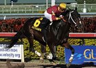 Big Drama comes home strong to win the Mr. Prospector.<br><a target="blank" href="http://www.bloodhorse.com/horse-racing/photo-store?ref=http%3A%2F%2Fpictopia.com%2Fperl%2Fgal%3Fprovider_id%3D368%26ptp_photo_id%3D9372179%26ref%3Dstory">Order This Photo</a>