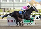 No Stopping Violence in Bumpy Nashua Stakes No Stopping Violence in Bumpy Nashua Stakes