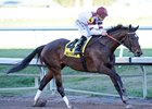 Royal Delta wins the Sabin Stakes.
<br><a target="blank" href="http://photos.bloodhorse.com/AtTheRaces-1/at-the-races-2013/27257665_QgCqdh#!i=2369612231&k=7D6gbrM">Order This Photo</a>