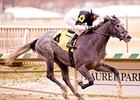 The Lumber Guy dominates the Miracle Wood Stakes.