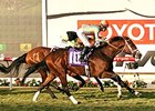 Conquest Typhoon won the 2014 Cecil B. DeMille Stakes at Del Mar.