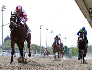 Havre de Grace Breezes, to Ship to Oaklawn Havre de Grace Breezes, to Ship to Oaklawn