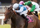 Sarach leads them home in the Honeymoon Handicap.