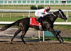 Fair Grounds Winners Pay Well Fair Grounds Winners Pay Well