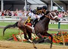 Oxbow in the Preakness Stakes.
<br><a target="blank" href="http://photos.bloodhorse.com/TripleCrown/2013-Triple-Crown/Preakness-Stakes-138/29423277_98XmS6#!i=2527192170&k=tR5W3Fz">Order This Photo</a>