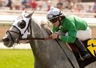 Two Turf Sprint Contenders Work Two Turf Sprint Contenders Work