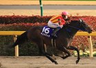 Testa Matta wins the February Stakes.
<br><a target="blank" href="http://www.bloodhorse.com/horse-racing/photo-store?ref=http%3A%2F%2Fpictopia.com%2Fperl%2Fgal%3Fprovider_id%3D368%26ptp_photo_id%3D9815134%26ref%3Dstory">Order This Photo</a>