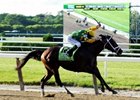 Palace Malice