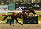 Azul Leon seeks to become the first Hollywood Juvenile Championship winner to annex the Futurity since Swiss Yodeler in 1996.