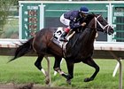 Verrazano wins the Pegasus Stakes.
<br><a target="blank" href="http://photos.bloodhorse.com/AtTheRaces-1/at-the-races-2013/27257665_QgCqdh#!i=2578898801&k=RtcVsC2">Order This Photo</a>