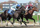 Buffum returns to New York, after finishing fifth in the UAE 2000 Guineas.<br><a target="blank" href="http://www.bloodhorse.com/horse-racing/photo-store?ref=http%3A%2F%2Fpictopia.com%2Fperl%2Fgal%3Fprovider_id%3D368%26ptp_photo_id%3D9399436%26ref%3Dstory">Order This Photo</a>