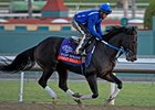 Great Mills
<br><a target="blank" href="http://photos.bloodhorse.com/BreedersCup/2012-Breeders-Cup/Works/26130247_gxH6nS#!i=2180101217&k=WwXnHfs">Order This Photo</a>