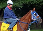 Belmont Stakes winner Summer Bird<br><a target="blank" href="http://www.bloodhorse.com/horse-racing/photo-store?ref=http%3A%2F%2Fpictopia.com%2Fperl%2Fgal%3Fprovider_id%3D368%26ptp_photo_id%3D8205499%26ref%3Dstory">Order This Photo</a>