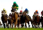 Spring Venture leads the way home in the Natalma Stakes.