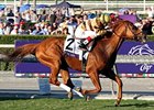 Wise Dan's background is a bit atypical of most pedigrees featuring a double dose of Secretariat.<br><a target="blank" href="http://photos.bloodhorse.com/BreedersCup/2012-Breeders-Cup/Mile/26128708_Rzcb63#!i=2194075650&k=F5VbCcx">Order This Photo</a>