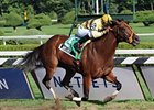 Ballerina Contender Any Limit Sidelined Ballerina Contender Any Limit Sidelined