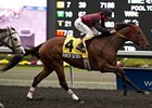 River Seven breaks his maiden in the Grey Stakes at Woodbine.
