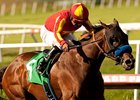 Irish Gypsy takes on 4 in the Honorable Miss.<br><a target="blank" href="http://www.bloodhorse.com/horse-racing/photo-store?ref=http%3A%2F%2Fpictopia.com%2Fperl%2Fgal%3Fprovider_id%3D368%26ptp_photo_id%3D9599679%26ref%3Dstory">Order This Photo</a>