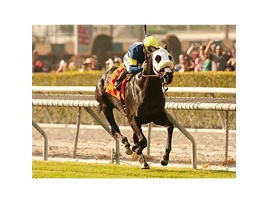 Bright Thought comes home strong to win the San Luis Rey.