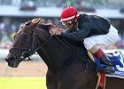 Boisterous won the Monmouth Stakes on June 9.