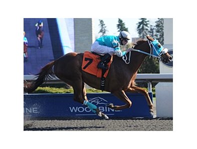 Essence Hit Man won the Jacques Cartier Stakes by nearly three lengths on April 7.
