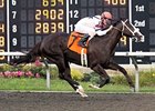 Eternal Rule in in control in the Presque Isle Mile Stakes.