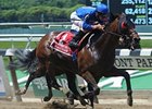 Saginaw outfinishes Fiddlers Afleet to win the Affirmed Success.<br><a target="blank" href="http://photos.bloodhorse.com/AtTheRaces-1/at-the-races-2013/27257665_QgCqdh#!i=2548075981&k=jV3q9f8">Order This Photo</a>