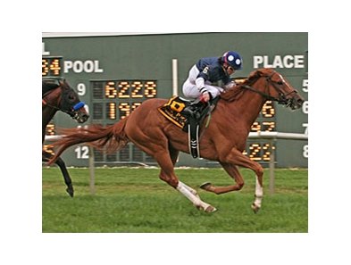 Stormy Lord and Justin Stein take the PTHA President's Cup.
